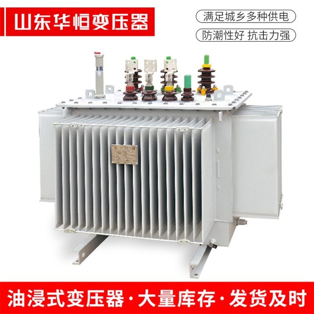 S13-10000/35延长延长延长电力变压器